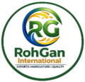 rohganint.com